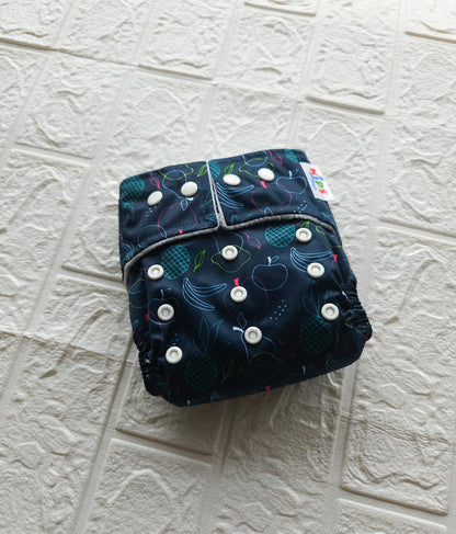 Reusable Cloth Diaper ( 0- 2 Year )